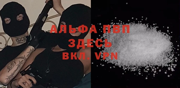 мяу мяу мука Абаза