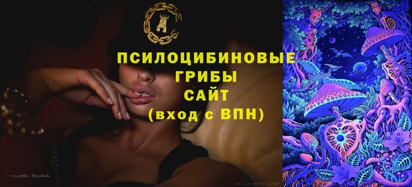 ECSTASY Алзамай