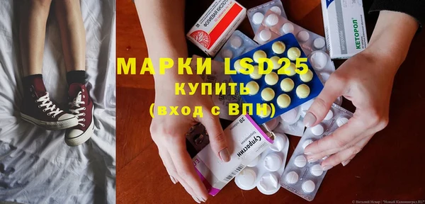 ECSTASY Алзамай