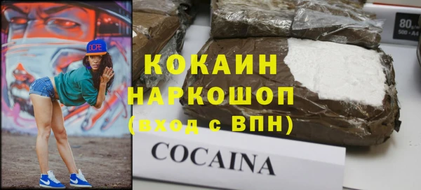 ECSTASY Алзамай